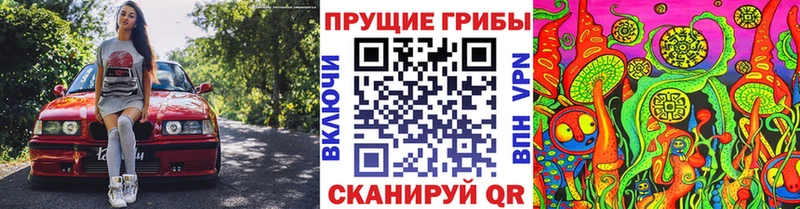 МЕГА tor Черногорск Галлюциногенные грибы мухоморы